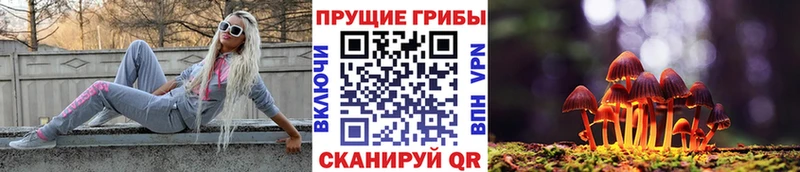 Купить закладки  Раменское  Псилоцибиновые грибы прущие грибы 