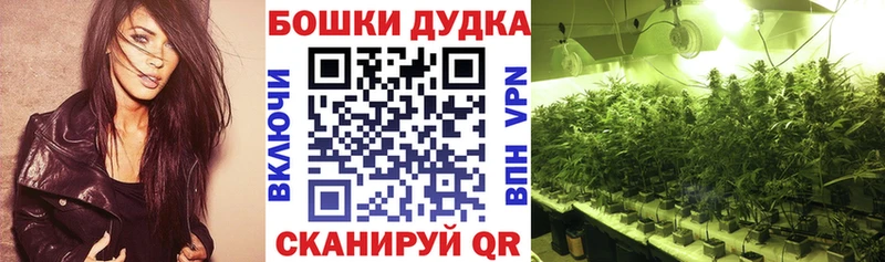 Купить закладки  Раменское  Каннабис сатива 